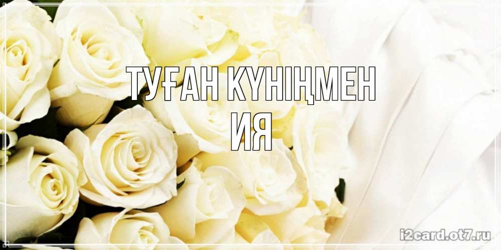 Күн сайын ашық хат с именем, Ия Туған күніңмен белые розы в букете Онлайн тегін жүктеп алу тілектері бар керемет карта 