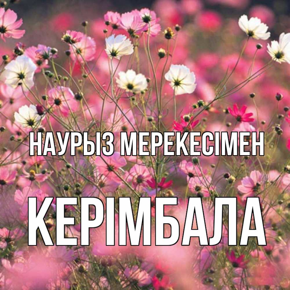 Күн сайын ашық хат с именем, КЕРІМБАЛА Наурыз мерекесімен красиво 1 Онлайн тегін жүктеп алу тілектері бар керемет карта 