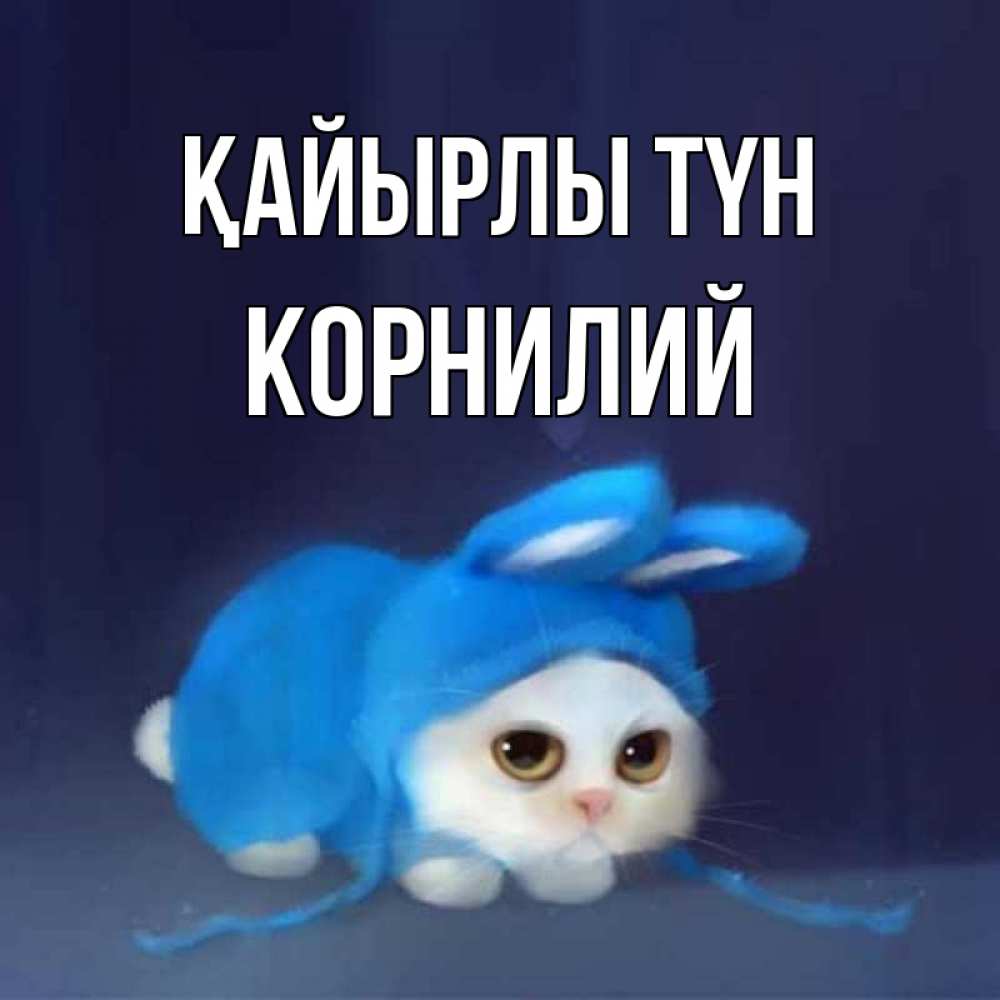 Күн сайын ашық хат с именем, Корнилий Қайырлы түн кот в голубом костюме кролика с ушками Онлайн тегін жүктеп алу тілектері бар керемет карта 