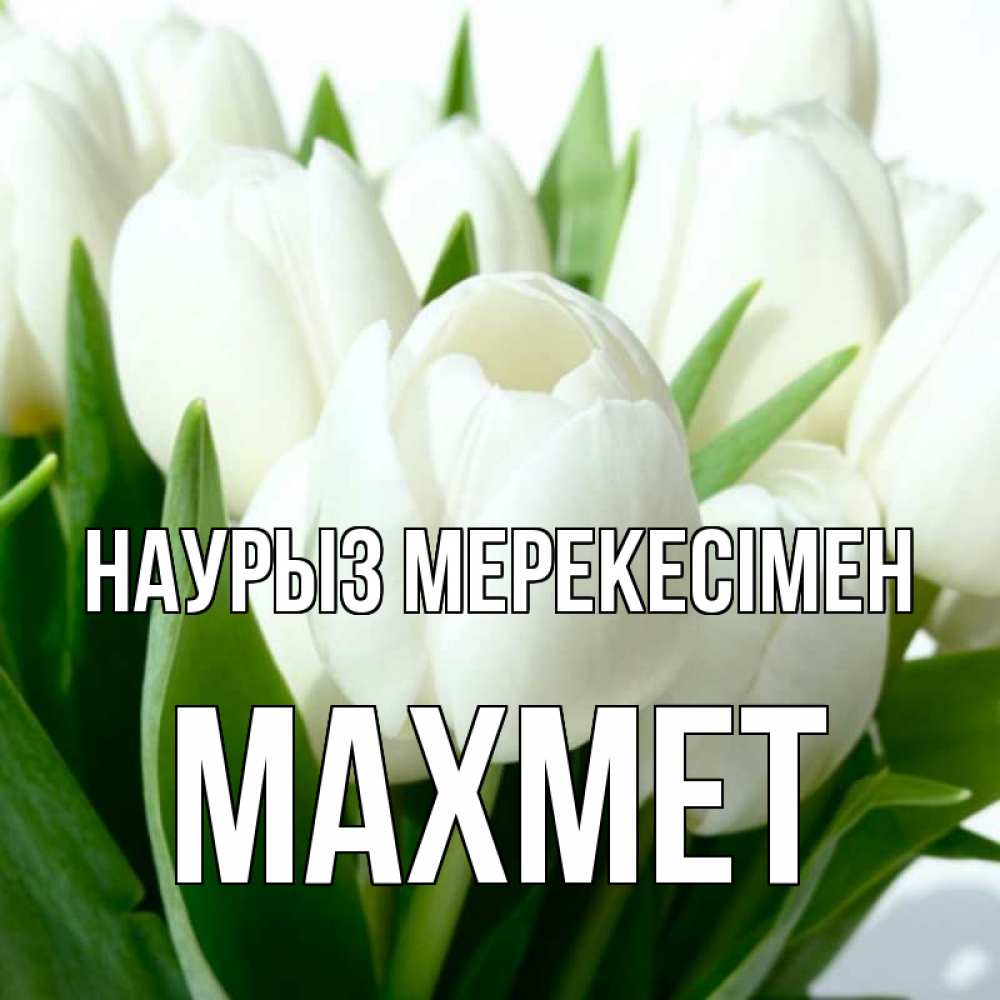 Күн сайын ашық хат с именем, МАХМЕТ Наурыз мерекесімен цветы Онлайн тегін жүктеп алу тілектері бар керемет карта 