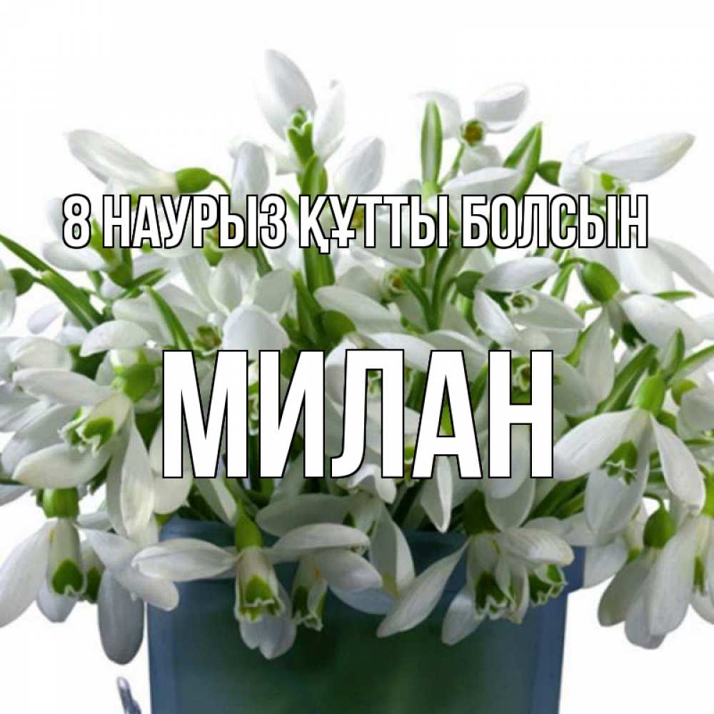 Күн сайын ашық хат с именем, Милан 8 наурыз құтты болсын цветы к международному женскому дню Онлайн тегін жүктеп алу тілектері бар керемет карта 