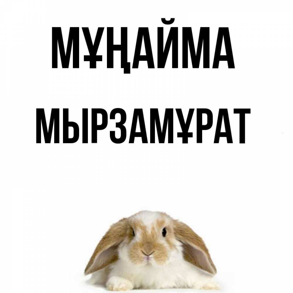 Күн сайын ашық хат с именем, Мырзамұрат Мұңайма коричнево белый заяц с большими ушками Онлайн тегін жүктеп алу тілектері бар керемет карта 