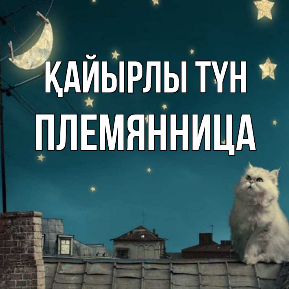 Күн сайын ашық хат с именем, Племянница Қайырлы түн белый кот сидит на крыше Онлайн тегін жүктеп алу тілектері бар керемет карта 