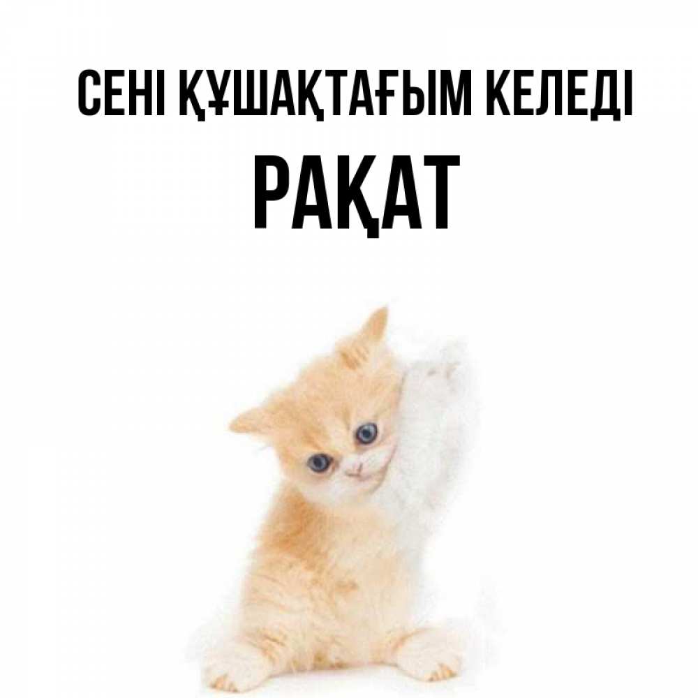 Күн сайын ашық хат с именем, РАҚАТ сені құшақтағым келеді я хочу очень скорее обнимаешек Онлайн тегін жүктеп алу тілектері бар керемет карта 