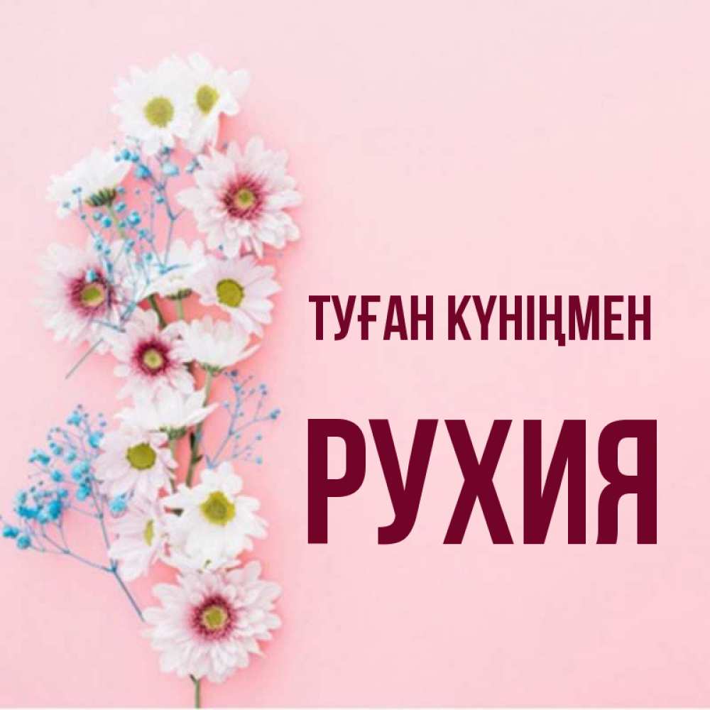 Күн сайын ашық хат с именем, РУХИЯ Туған күніңмен Родная моя с днем рождения тебя картинка с цветами белыми и голубыми Онлайн тегін жүктеп алу тілектері бар керемет карта 