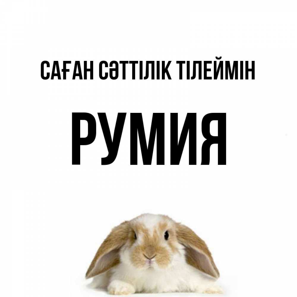 Күн сайын ашық хат с именем, Румия Саған сәттілік тілеймін открытки с произвольным текстом который можно вставить в открытку и создать ее самостоятельно бесплатно онлайн Онлайн тегін жүктеп алу тілектері бар керемет карта 