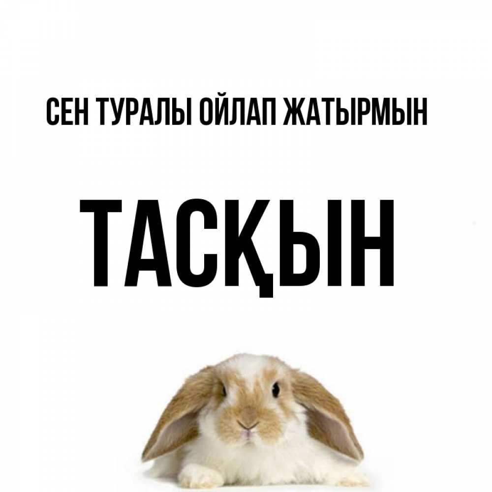 Күн сайын ашық хат с именем, ТАСҚЫН Сен туралы ойлап жатырмын подписать своими руками онлайн Онлайн тегін жүктеп алу тілектері бар керемет карта 