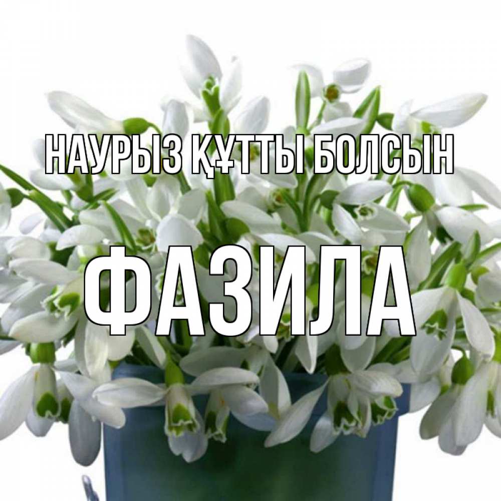 Күн сайын ашық хат с именем, ФАЗИЛА Наурыз құтты болсын цветы к наурызу Онлайн тегін жүктеп алу тілектері бар керемет карта 