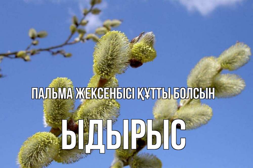 Күн сайын ашық хат с именем, ЫДЫРЫС Пальма жексенбісі құтты болсын верба Онлайн тегін жүктеп алу тілектері бар керемет карта 