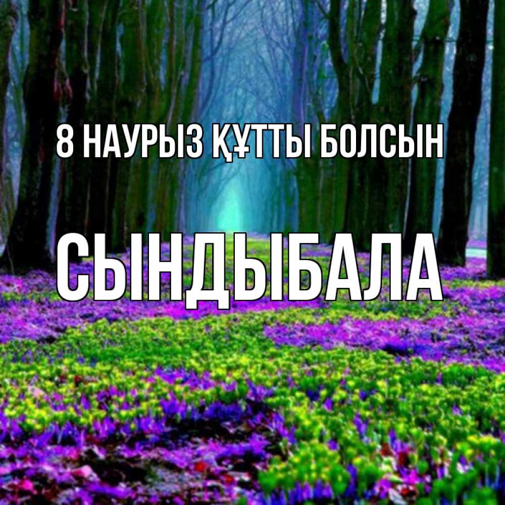 Күн сайын ашық хат с именем, СЫНДЫБАЛА 8 наурыз құтты болсын фиолетовые цветы в лесу 1 Онлайн тегін жүктеп алу тілектері бар керемет карта 
