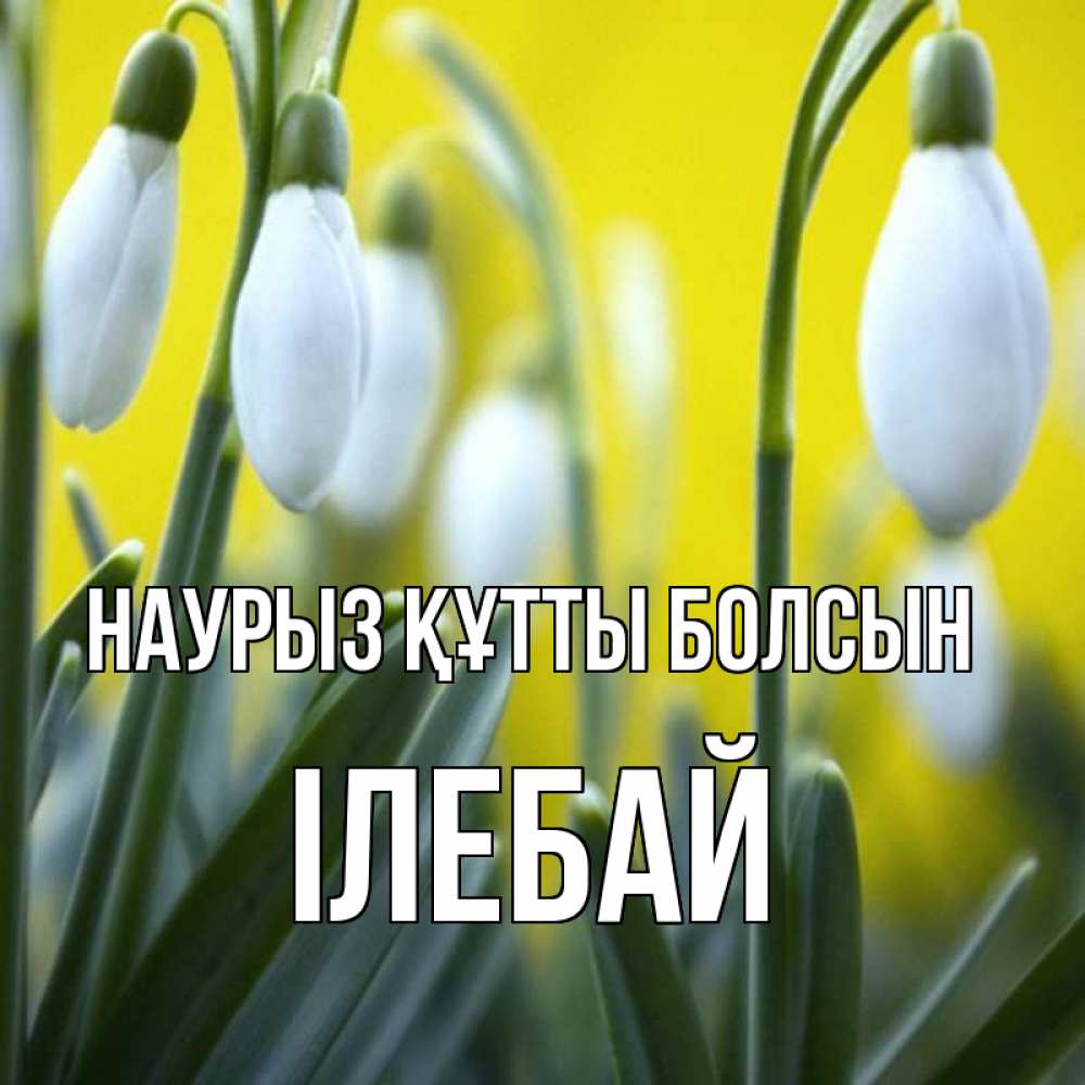 Күн сайын ашық хат с именем, Ілебай Наурыз құтты болсын весенние цветы Онлайн тегін жүктеп алу тілектері бар керемет карта 