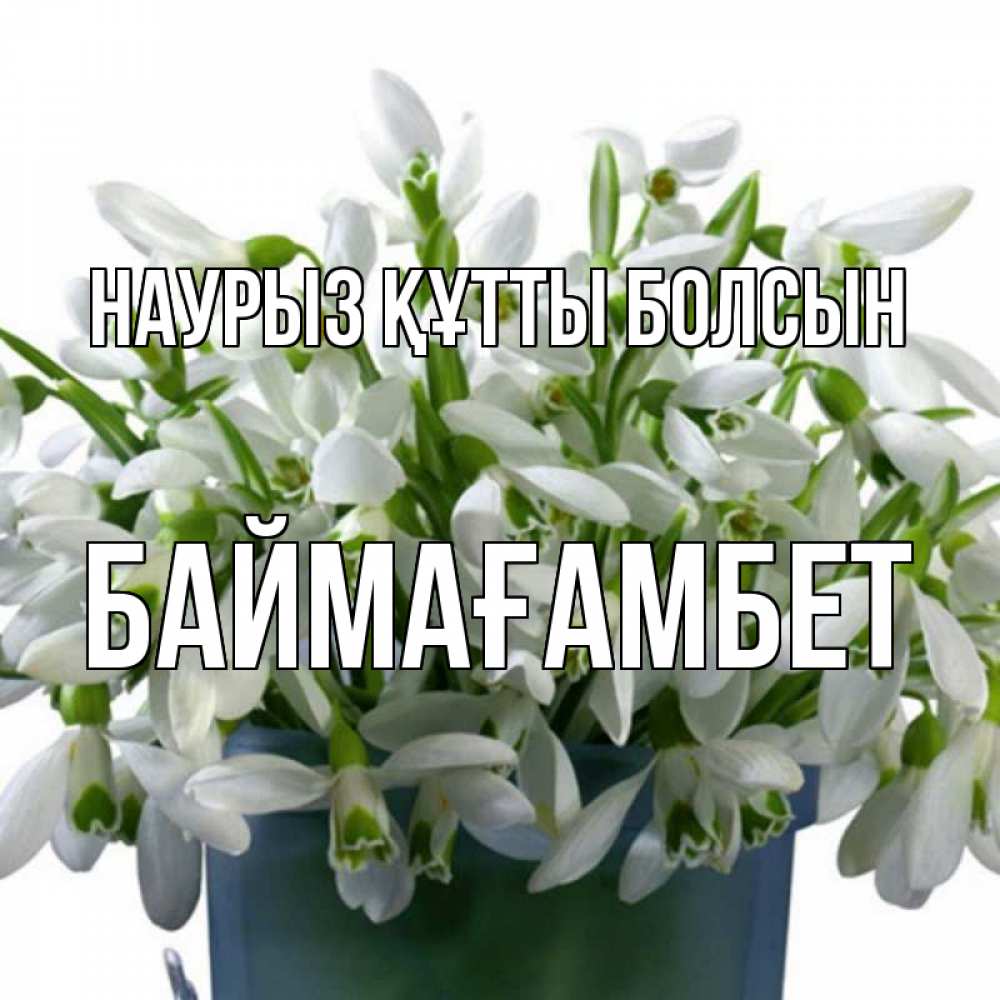 Күн сайын ашық хат с именем, Баймағамбет Наурыз құтты болсын цветы к наурызу Онлайн тегін жүктеп алу тілектері бар керемет карта 