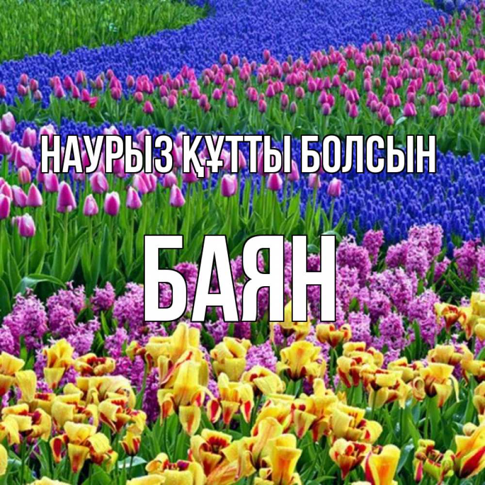 Күн сайын ашық хат с именем, Баян Наурыз құтты болсын цветы Онлайн тегін жүктеп алу тілектері бар керемет карта 