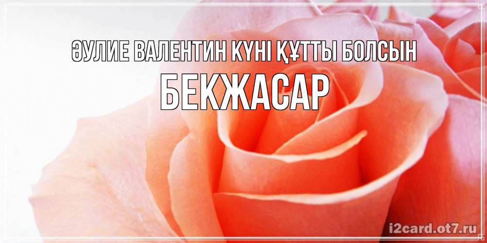 Күн сайын ашық хат с именем, Бекжасар Әулие Валентин күні құтты болсын открытка на день Святого Валентина с розовой розой Онлайн тегін жүктеп алу тілектері бар керемет карта 