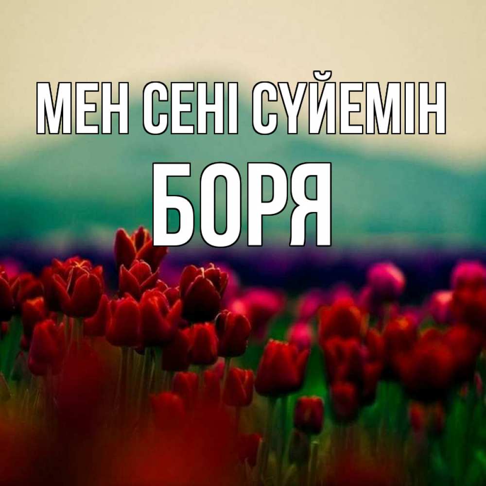 Күн сайын ашық хат с именем, Боря Мен сені сүйемін тюльпаны 4 Онлайн тегін жүктеп алу тілектері бар керемет карта 