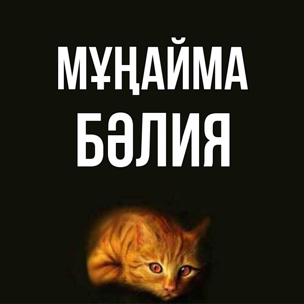 Күн сайын ашық хат с именем, БӘЛИЯ Мұңайма лежащий кот в темноте Онлайн тегін жүктеп алу тілектері бар керемет карта 