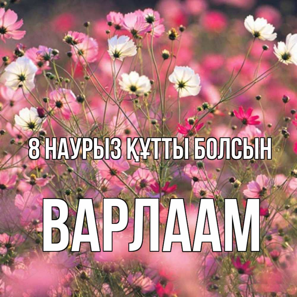 Күн сайын ашық хат с именем, Варлаам 8 наурыз құтты болсын красиво 1 Онлайн тегін жүктеп алу тілектері бар керемет карта 