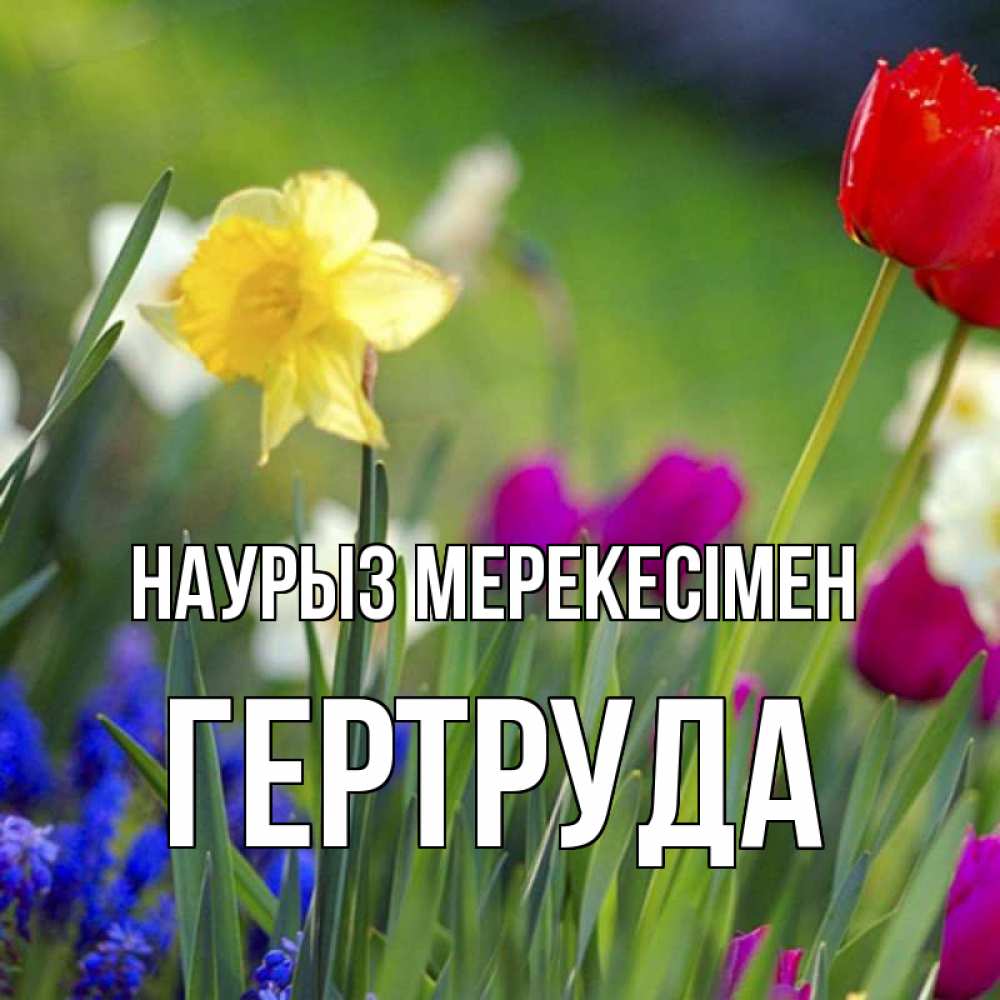 Күн сайын ашық хат с именем, Гертруда Наурыз мерекесімен праздник весны наурыз 3 Онлайн тегін жүктеп алу тілектері бар керемет карта 