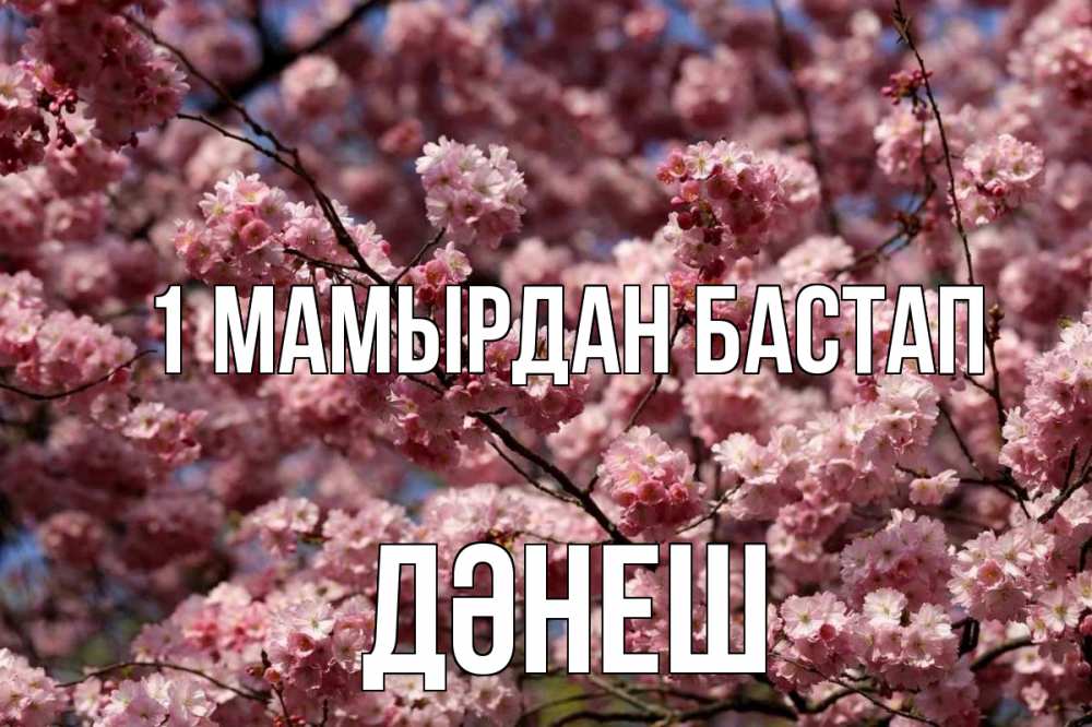 Күн сайын ашық хат с именем, ДӘНЕШ 1 мамырдан бастап С 1 мая Онлайн тегін жүктеп алу тілектері бар керемет карта 