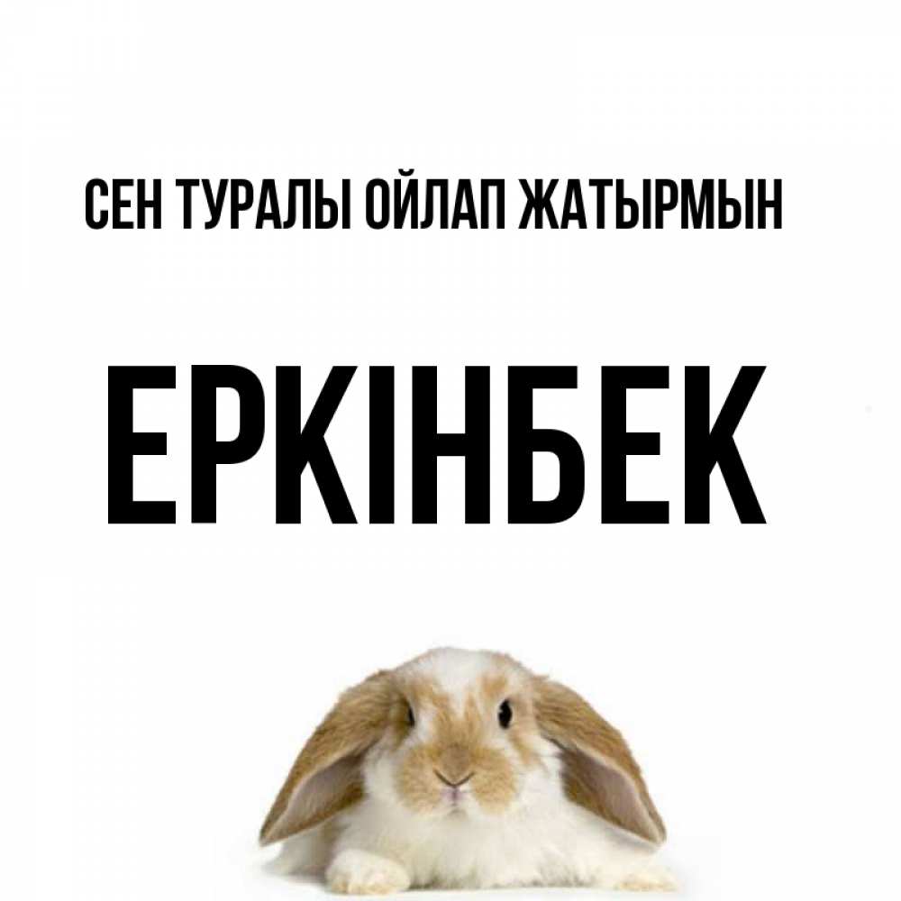 Күн сайын ашық хат с именем, Еркінбек Сен туралы ойлап жатырмын подписать своими руками онлайн Онлайн тегін жүктеп алу тілектері бар керемет карта 