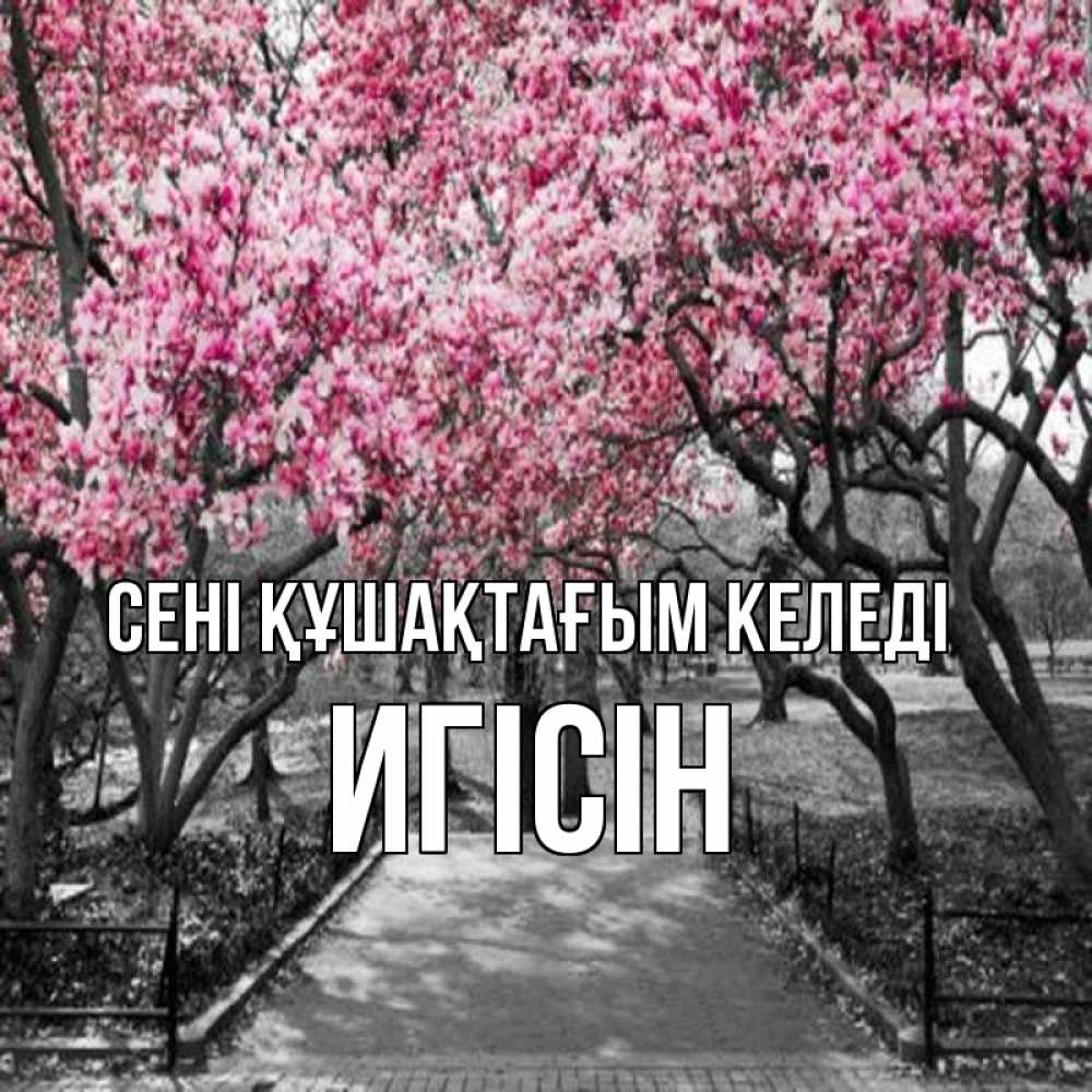 Күн сайын ашық хат с именем, Игісін сені құшақтағым келеді обработанное фото Онлайн тегін жүктеп алу тілектері бар керемет карта 