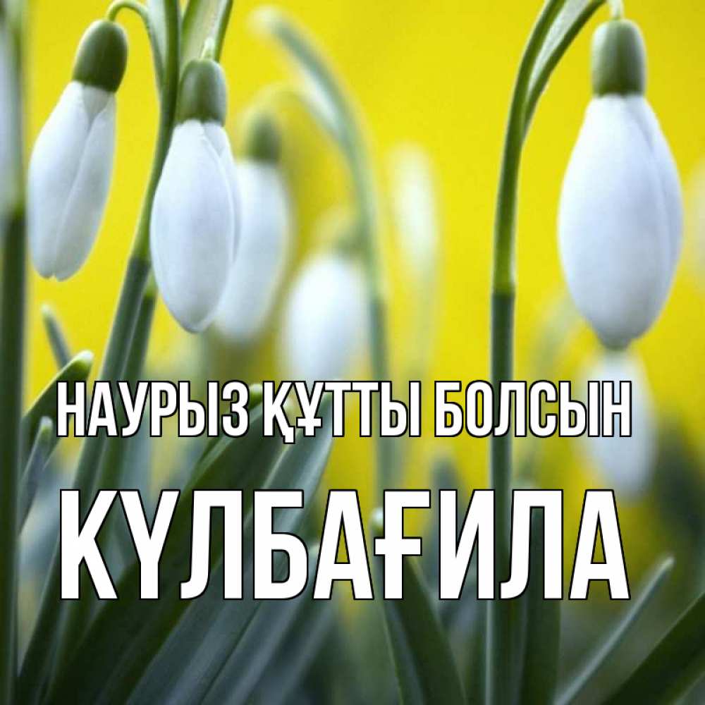 Күн сайын ашық хат с именем, КҮЛБАҒИЛА Наурыз құтты болсын весенние цветы Онлайн тегін жүктеп алу тілектері бар керемет карта 