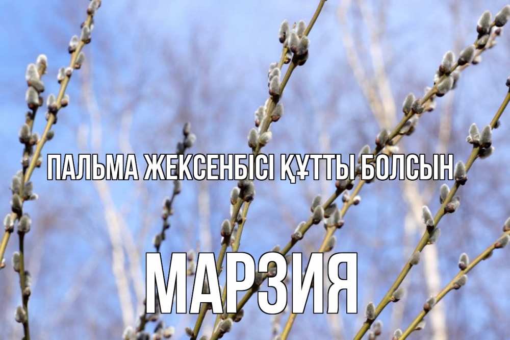Күн сайын ашық хат с именем, МАРЗИЯ Пальма жексенбісі құтты болсын верба Онлайн тегін жүктеп алу тілектері бар керемет карта 