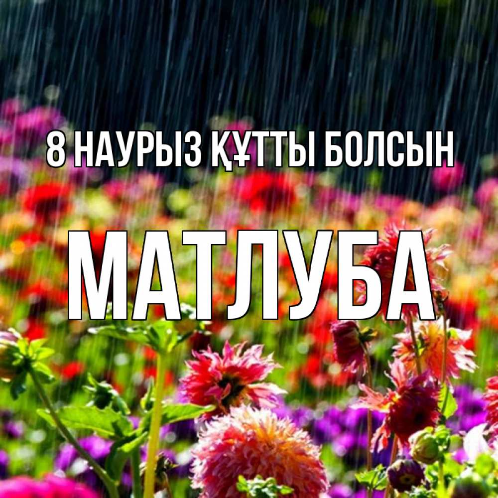 Күн сайын ашық хат с именем, МАТЛУБА 8 наурыз құтты болсын цветы под дождиком к международному женскому дню Онлайн тегін жүктеп алу тілектері бар керемет карта 