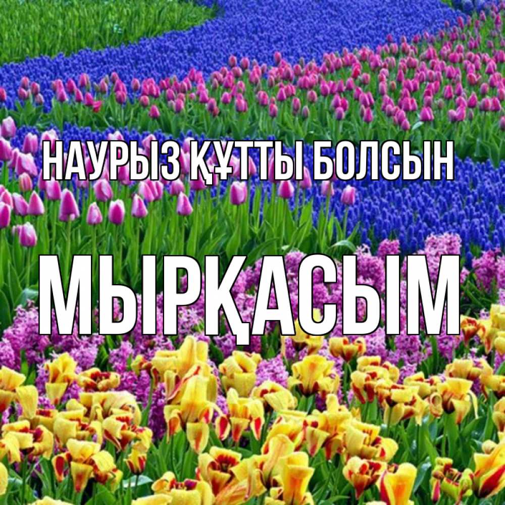 Күн сайын ашық хат с именем, МЫРҚАСЫМ Наурыз құтты болсын цветы Онлайн тегін жүктеп алу тілектері бар керемет карта 