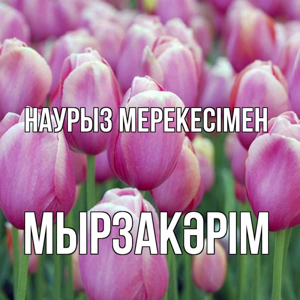 Күн сайын ашық хат с именем, Мырзакәрім Наурыз мерекесімен праздник весны наурыз 69 Онлайн тегін жүктеп алу тілектері бар керемет карта 