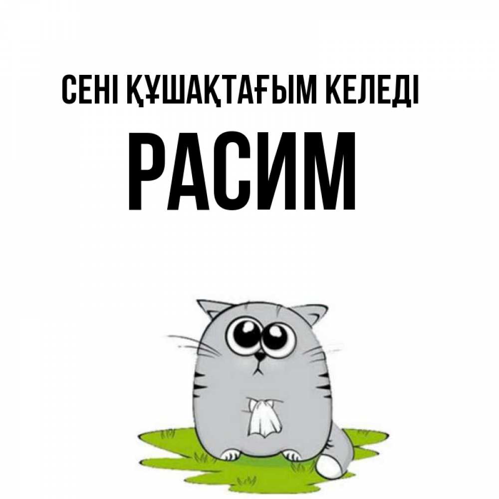 Күн сайын ашық хат с именем, Расим сені құшақтағым келеді котик теребит платочек сидя на травке Онлайн тегін жүктеп алу тілектері бар керемет карта 