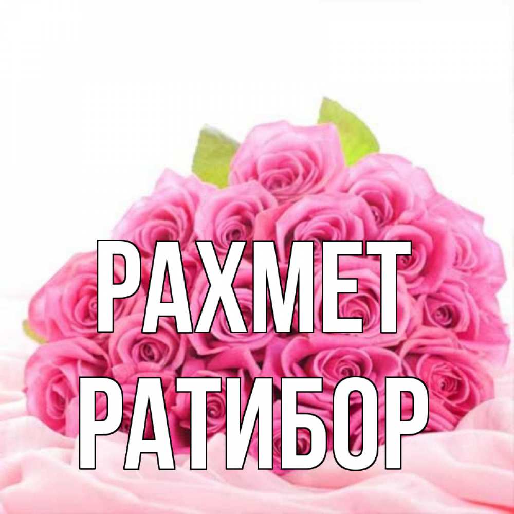 Күн сайын ашық хат с именем, Ратибор рахмет розовые розы с подписью Онлайн тегін жүктеп алу тілектері бар керемет карта 