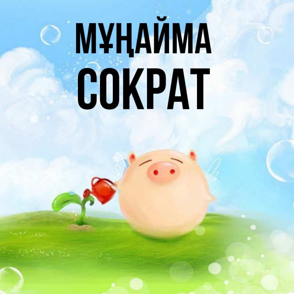 Күн сайын ашық хат с именем, Сократ Мұңайма поливает цветок порося Онлайн тегін жүктеп алу тілектері бар керемет карта 