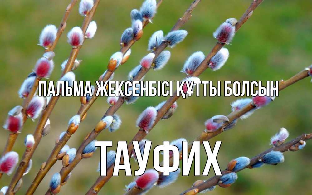 Күн сайын ашық хат с именем, ТАУФИХ Пальма жексенбісі құтты болсын верба Онлайн тегін жүктеп алу тілектері бар керемет карта 