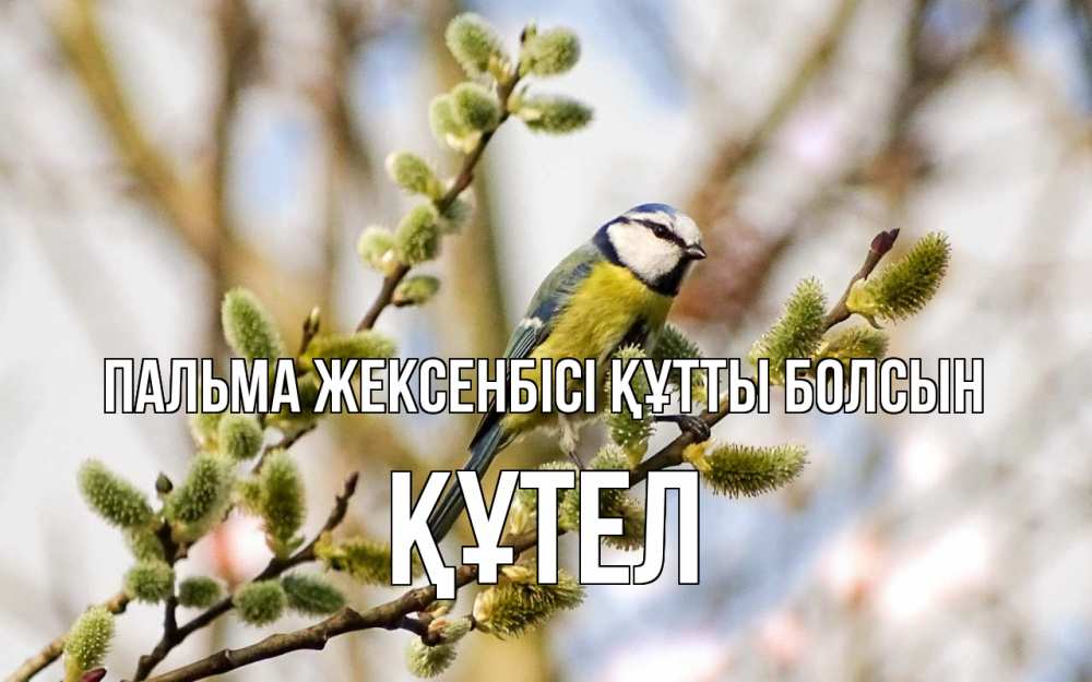 Күн сайын ашық хат с именем, ҚҰТЕЛ Пальма жексенбісі құтты болсын верба Онлайн тегін жүктеп алу тілектері бар керемет карта 