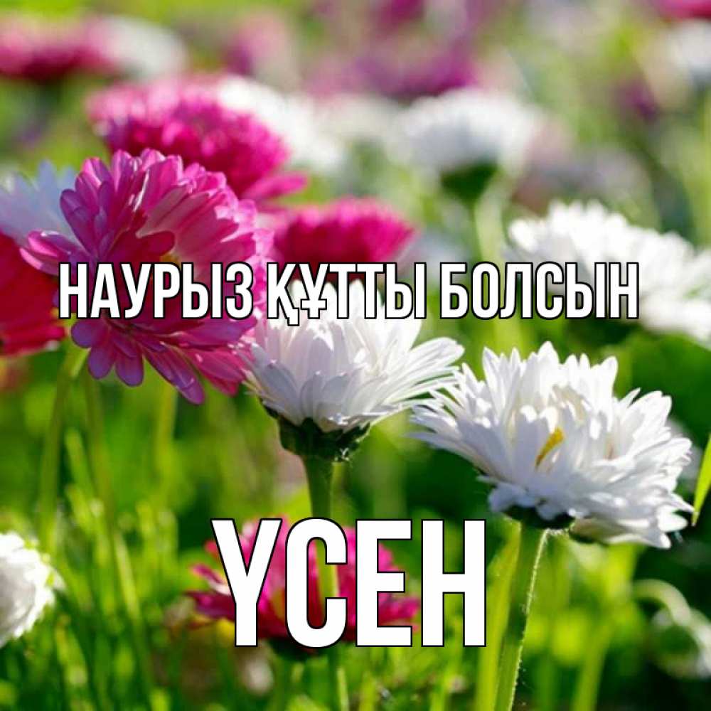 Күн сайын ашық хат с именем, ҮСЕН Наурыз құтты болсын наурыз Онлайн тегін жүктеп алу тілектері бар керемет карта 