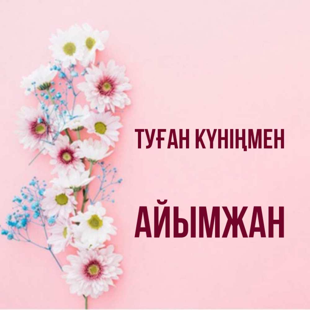 Күн сайын ашық хат с именем, АЙЫМЖАН Туған күніңмен Родная моя с днем рождения тебя картинка с цветами белыми и голубыми Онлайн тегін жүктеп алу тілектері бар керемет карта 