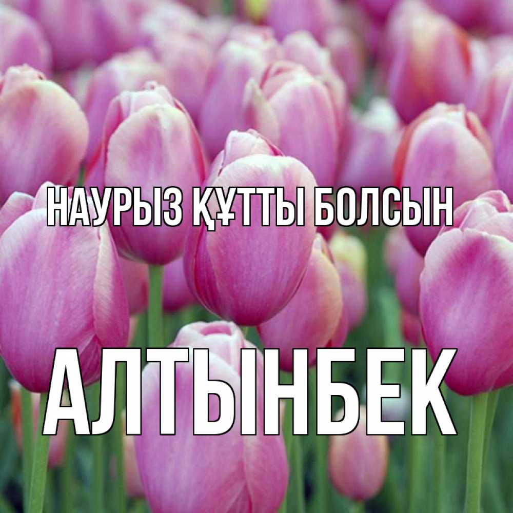 Күн сайын ашық хат с именем, Алтынбек Наурыз құтты болсын на наурыз  день 3 Онлайн тегін жүктеп алу тілектері бар керемет карта 