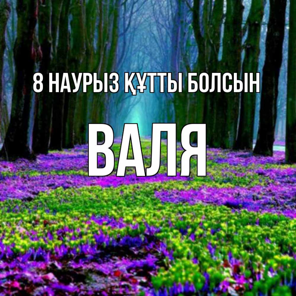 Күн сайын ашық хат с именем, Валя 8 наурыз құтты болсын фиолетовые цветы в лесу 1 Онлайн тегін жүктеп алу тілектері бар керемет карта 