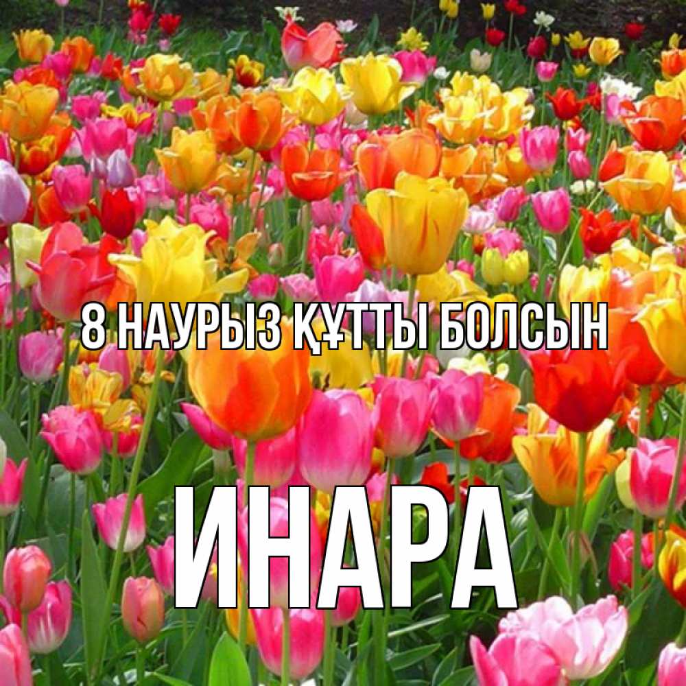 Күн сайын ашық хат с именем, Инара 8 наурыз құтты болсын на международный женский день Онлайн тегін жүктеп алу тілектері бар керемет карта 