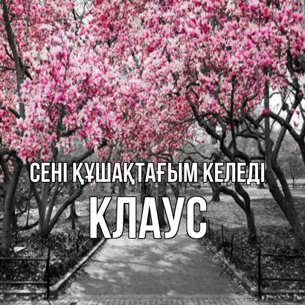 Күн сайын ашық хат с именем, Клаус сені құшақтағым келеді обработанное фото Онлайн тегін жүктеп алу тілектері бар керемет карта 
