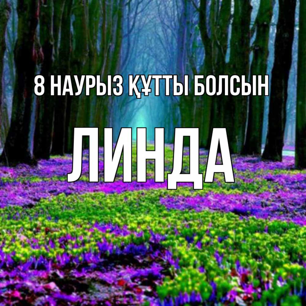 Күн сайын ашық хат с именем, Линда 8 наурыз құтты болсын фиолетовые цветы в лесу 1 Онлайн тегін жүктеп алу тілектері бар керемет карта 
