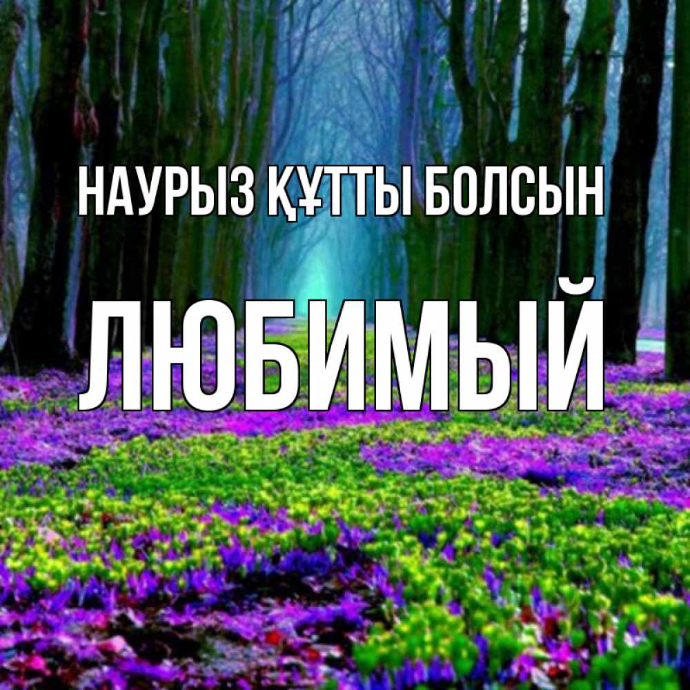 Күн сайын ашық хат с именем, Любимый Наурыз құтты болсын фиолетовые цветы в лесу 1 Онлайн тегін жүктеп алу тілектері бар керемет карта 