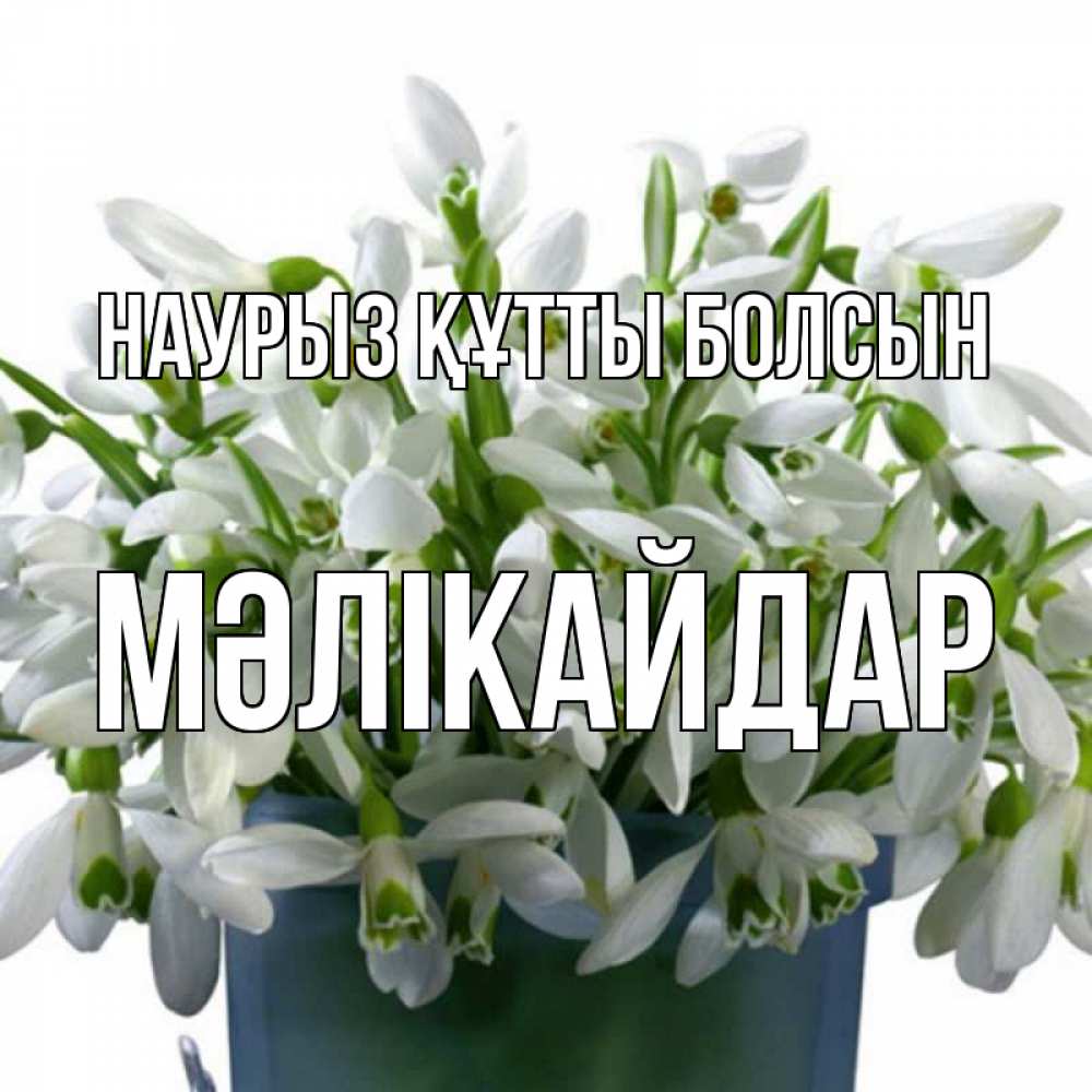 Күн сайын ашық хат с именем, МӘЛІКАЙДАР Наурыз құтты болсын цветы к наурызу Онлайн тегін жүктеп алу тілектері бар керемет карта 