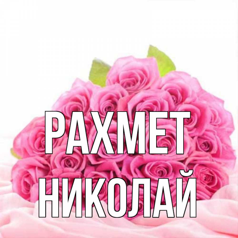 Күн сайын ашық хат с именем, Николай рахмет розовые розы с подписью Онлайн тегін жүктеп алу тілектері бар керемет карта 