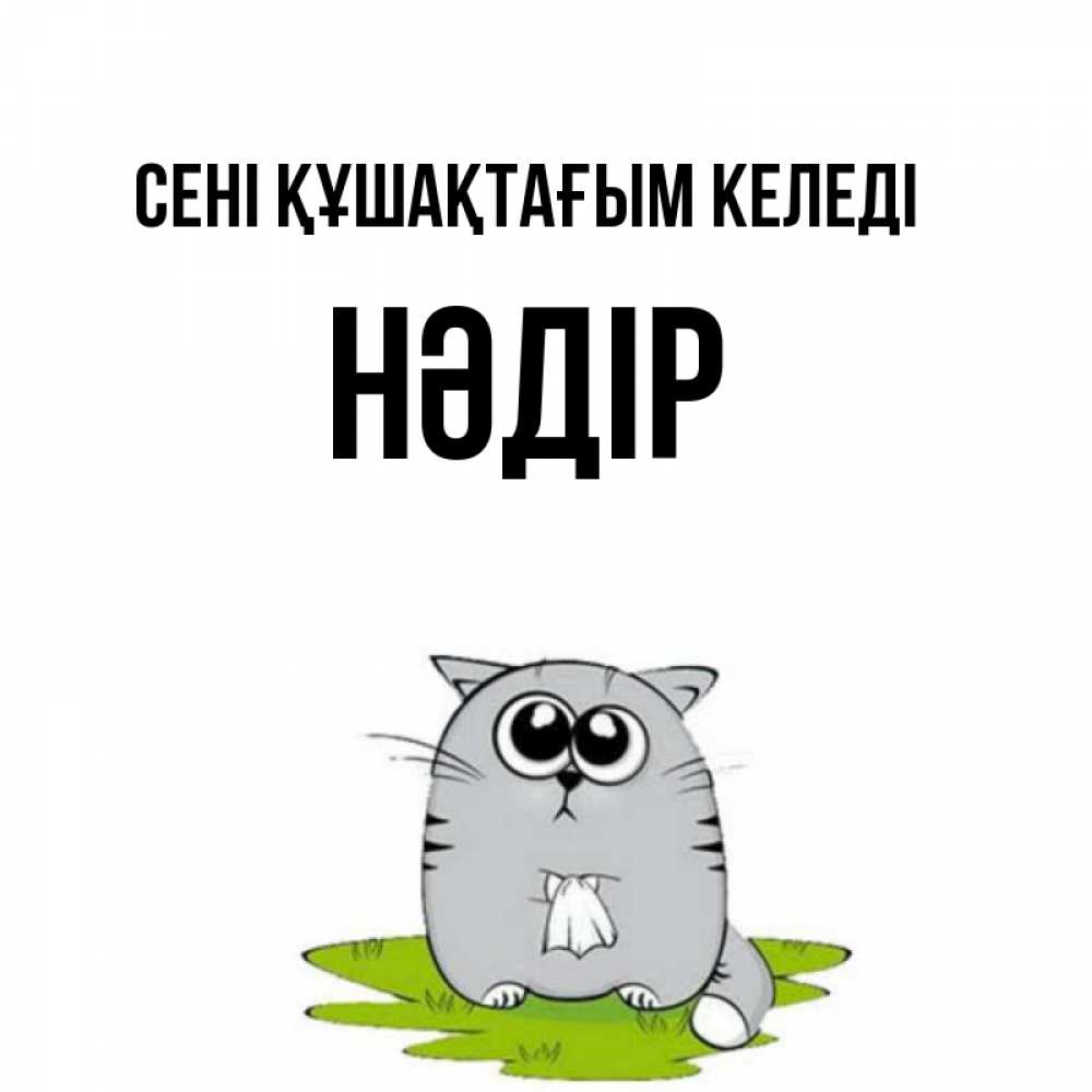Күн сайын ашық хат с именем, НӘДІР сені құшақтағым келеді котик теребит платочек сидя на травке Онлайн тегін жүктеп алу тілектері бар керемет карта 