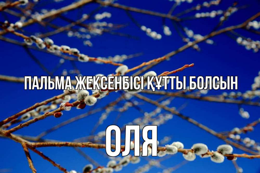 Күн сайын ашық хат с именем, Оля Пальма жексенбісі құтты болсын верба Онлайн тегін жүктеп алу тілектері бар керемет карта 