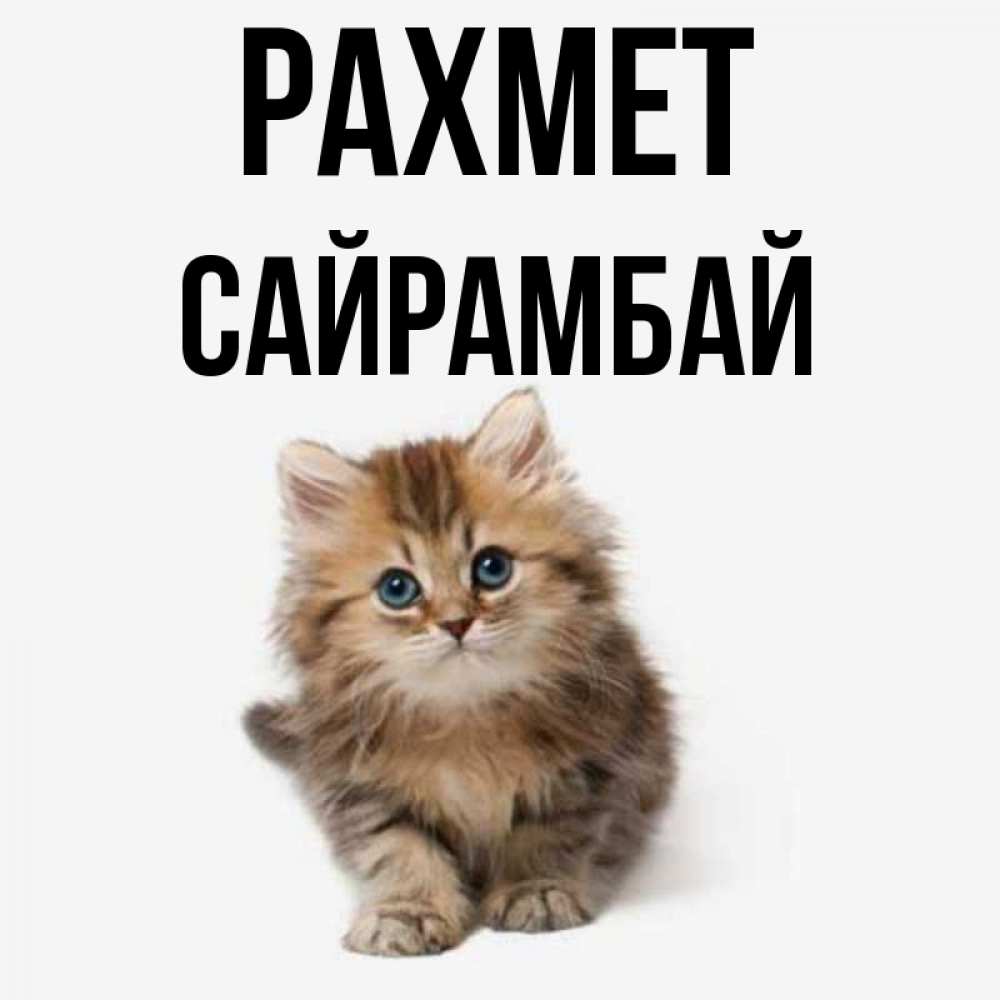Күн сайын ашық хат с именем, САЙРАМБАЙ рахмет пушистый котик Онлайн тегін жүктеп алу тілектері бар керемет карта 