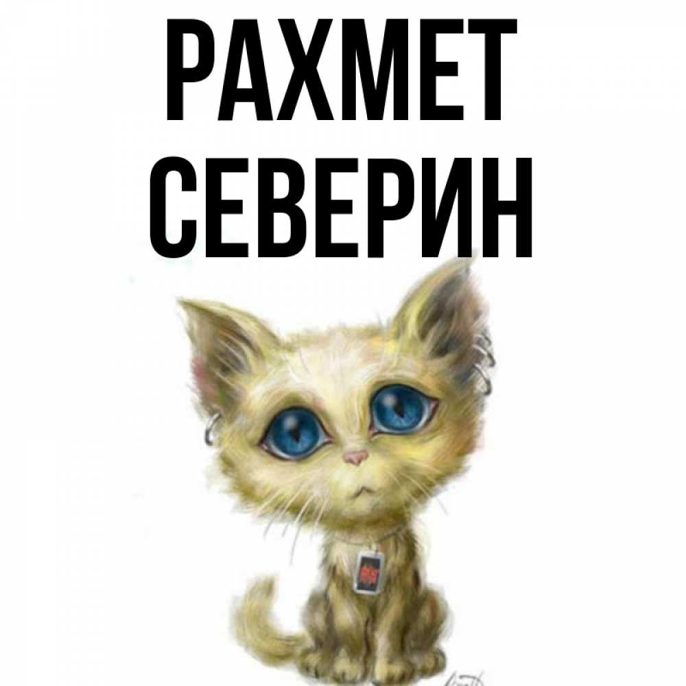 Күн сайын ашық хат с именем, Северин рахмет рисованный кот благодарит вас Онлайн тегін жүктеп алу тілектері бар керемет карта 