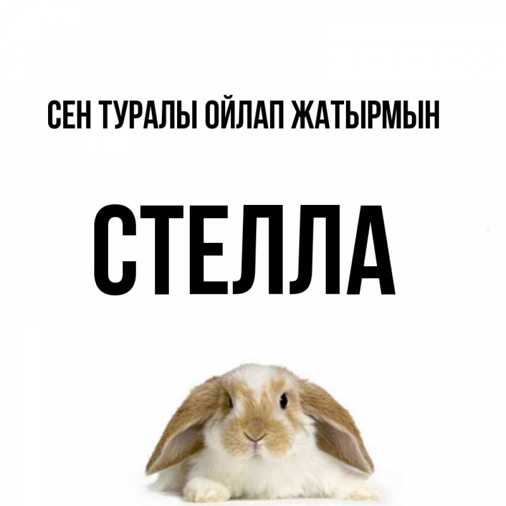 Күн сайын ашық хат с именем, Стелла Сен туралы ойлап жатырмын подписать своими руками онлайн Онлайн тегін жүктеп алу тілектері бар керемет карта 